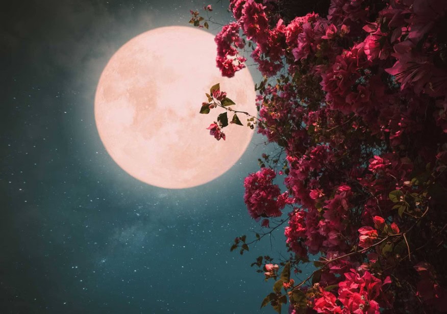 Guru Purnima